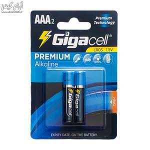 باتری نیم قلمی آلکالاین گیگاسل مدل Premium Alkaline بسته 2 عددی